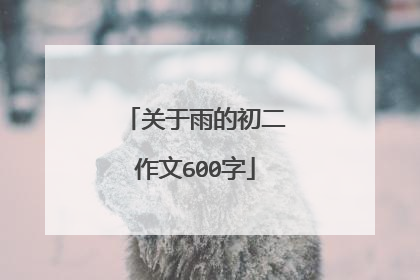 关于雨的初二作文600字