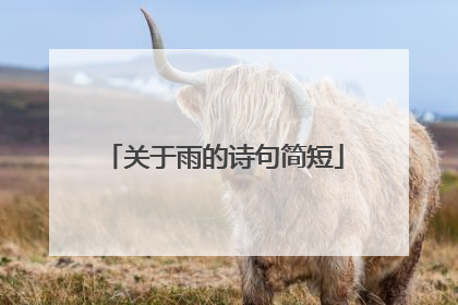 关于雨的诗句简短