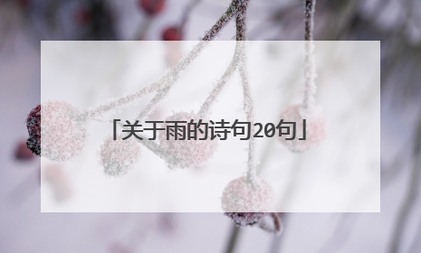 关于雨的诗句20句