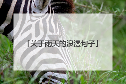 关于雨天的浪漫句子