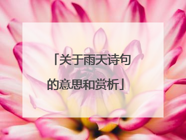 关于雨天诗句的意思和赏析