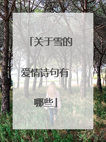 关于雪的爱情诗句有哪些