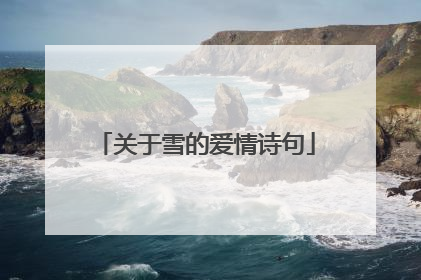 关于雪的爱情诗句