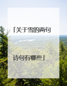 关于雪的两句诗句有哪些