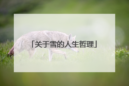 关于雪的人生哲理