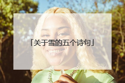 关于雪的五个诗句