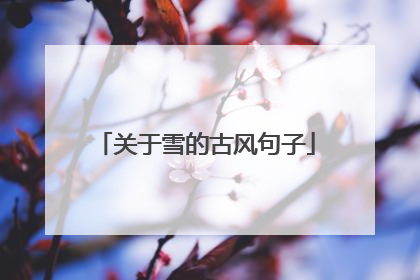 关于雪的古风句子