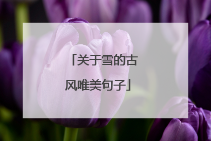 关于雪的古风唯美句子