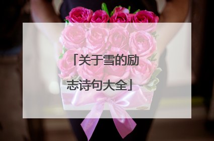 关于雪的励志诗句大全