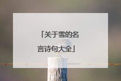 关于雪的名言诗句大全