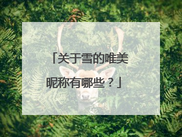 关于雪的唯美昵称有哪些？