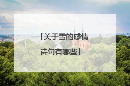 关于雪的感情诗句有哪些