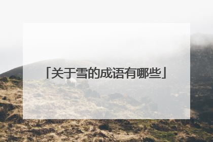 关于雪的成语有哪些