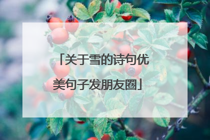 关于雪的诗句优美句子发朋友圈
