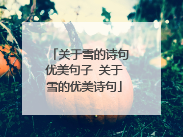 关于雪的诗句优美句子 关于雪的优美诗句