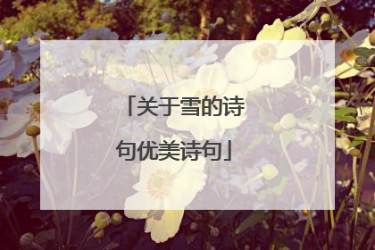关于雪的诗句优美诗句
