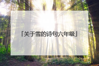关于雪的诗句六年级