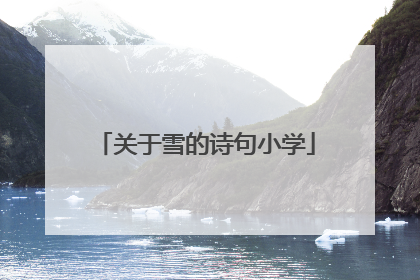 关于雪的诗句小学