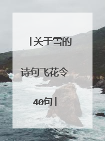 关于雪的诗句飞花令40句