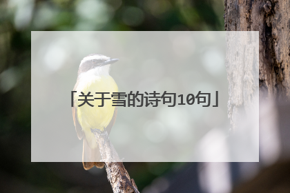 关于雪的诗句10句
