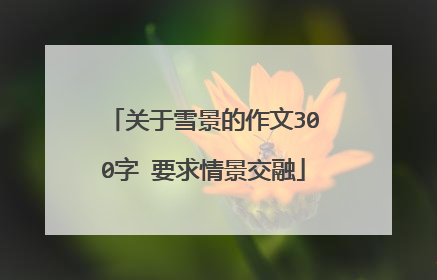 关于雪景的作文300字 要求情景交融