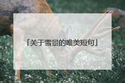 关于雪景的唯美短句