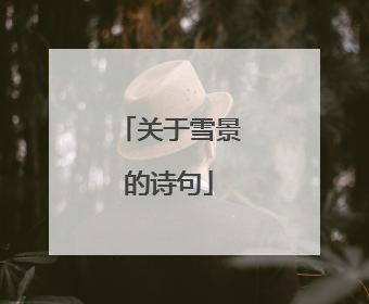 关于雪景的诗句