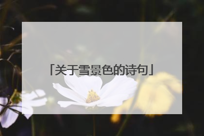 关于雪景色的诗句