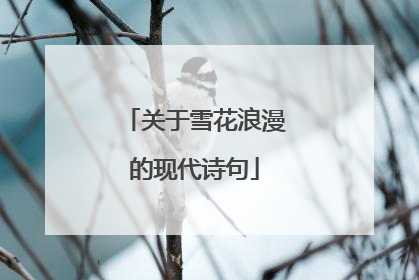 关于雪花浪漫的现代诗句