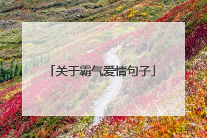 关于霸气爱情句子