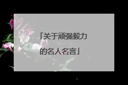 关于顽强毅力的名人名言