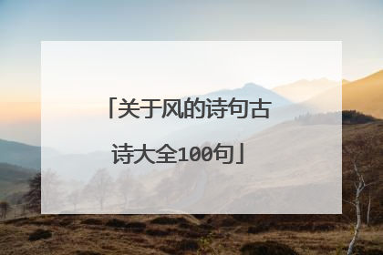 关于风的诗句古诗大全100句
