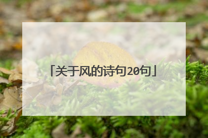 关于风的诗句20句