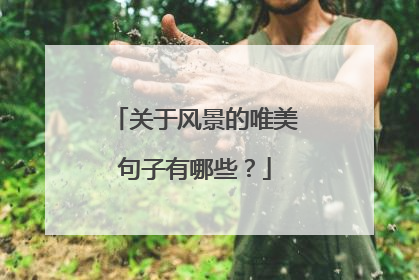 关于风景的唯美句子有哪些？