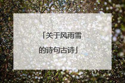 关于风雨雪的诗句古诗