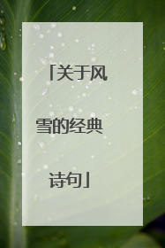 关于风雪的经典诗句