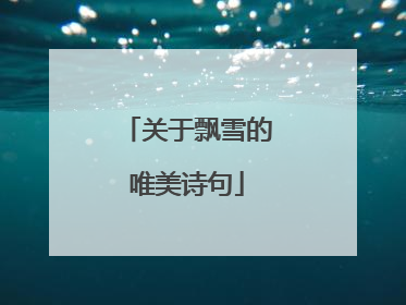 关于飘雪的唯美诗句