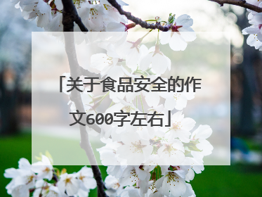 关于食品安全的作文600字左右