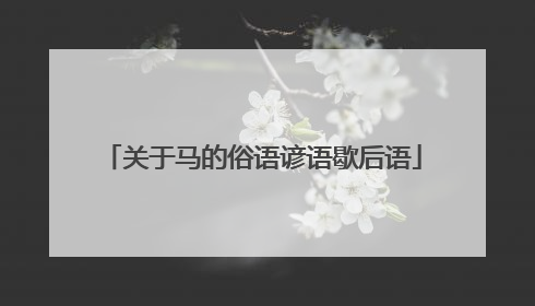 关于马的俗语谚语歇后语