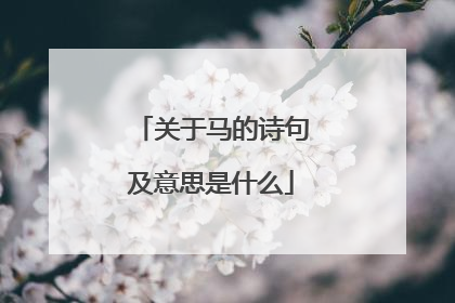 关于马的诗句及意思是什么
