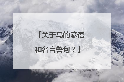 关于马的谚语和名言警句?