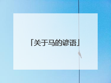关于马的谚语