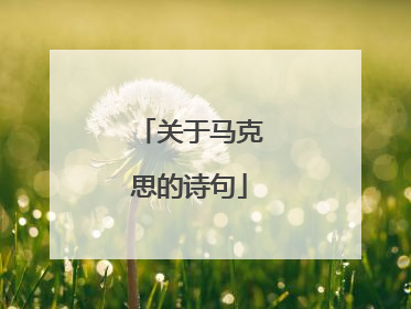 关于马克思的诗句
