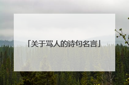 关于骂人的诗句名言