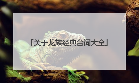 关于龙族经典台词大全