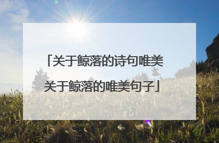 关于鲸落的诗句唯美 关于鲸落的唯美句子