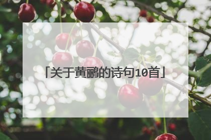 关于黄鹂的诗句10首