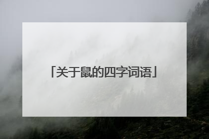 关于鼠的四字词语