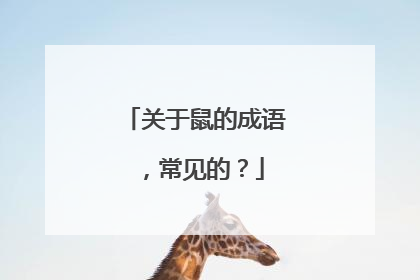 关于鼠的成语,常见的?