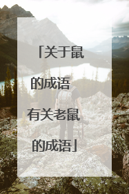 关于鼠的成语 有关老鼠的成语